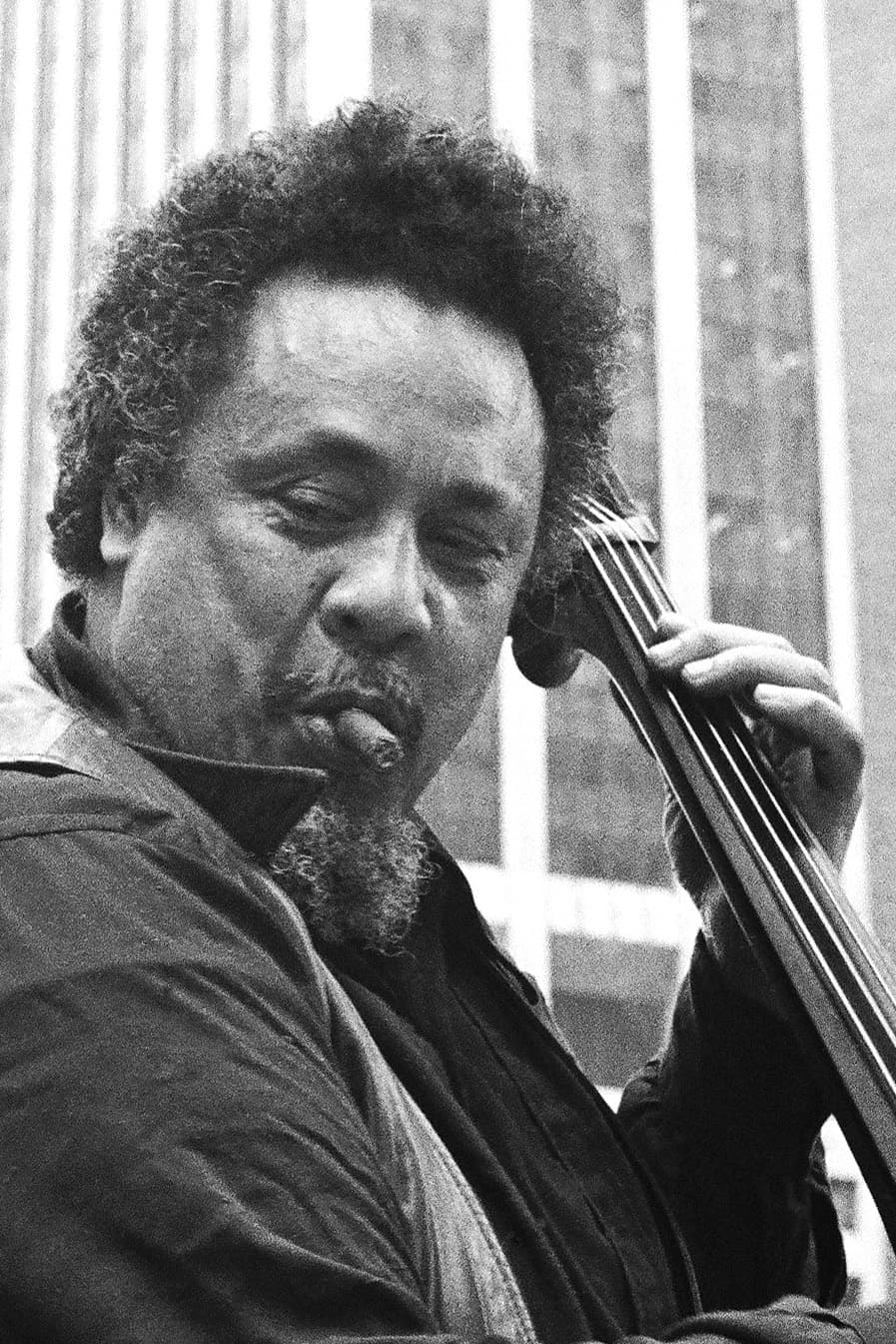 Charles Mingus, Haitian Fight Song, and Black Fury